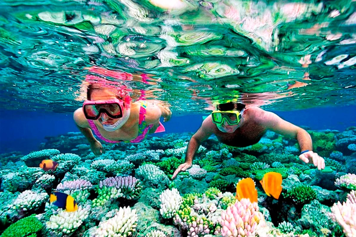 riviera-maya-snorkeling