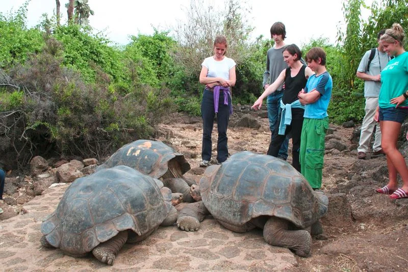 tour-galapagos